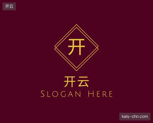认识开云团队